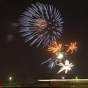 川崎市制記念多摩川花火大会と東急田園都市線二子橋梁(2005年8月20日撮影)