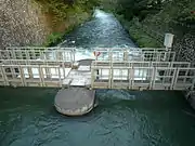取水堰直下の様子。大量の水が音をたてて流れ、「人喰い川」などと呼ばれた往時を偲ばせる。（羽村市、北緯35度45分20.59秒 東経139度18分33.06秒﻿ / ﻿北緯35.7557194度 東経139.3091833度﻿ / 35.7557194; 139.3091833﻿ (取水堰直下の様子)）