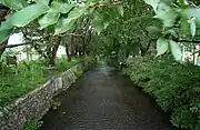 見影橋から上流方面。左側に小さな分水の取水口が見える。(立川市砂川町3丁目、北緯35度43分41.57秒 東経139度23分41.87秒 / 北緯35.7282139度 東経139.3949639度 / 35.7282139; 139.3949639 (見影橋から上流方面))