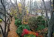 小金井公園正門付近。無類の名所であった“小金井桜”の後裔にあたる桜木(画面左)がひっそりと遺る(小金井市、北緯35度42分45.46秒 東経139度31分05.36秒 / 北緯35.7126278度 東経139.5181556度 / 35.7126278; 139.5181556 (小金井公園正門付近))