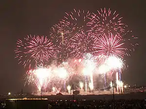 世田谷区たまがわ花火大会のデジタル・スターマイン(2007年8月18日撮影)