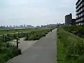 左岸 大師橋緑地付近