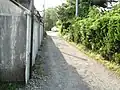 左岸 ダート