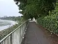 左岸 永田橋付近