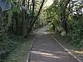 左岸 多摩川遊歩道