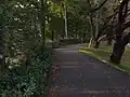 左岸