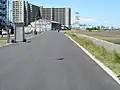 右岸 大師橋付近の舗装路