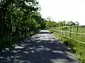 右岸 滝が原運動場専用道路