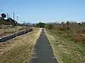 右岸