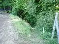 右岸 森に分け入る