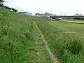 右岸 菅公園〜多摩川原橋