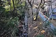 京王線代田橋駅の上り線ホームから見る(北側)。水路の両側には桜の木が確認できる(2018年2月24日撮影)