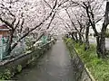八尾市柏村町