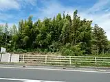 城跡遠景
