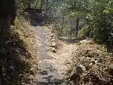 トンネルの先にある分岐。左が田本集落方面、右が阿南町方面。