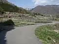 棚田の石垣