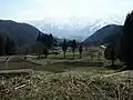 東側の棚田
