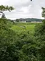 田んぼアート。2021年は温泉むすめの「小野川小町」が描かれた。
