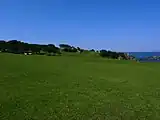 海岸沿いの天然芝生