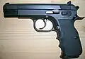 タンフォリオ T95 コンバット/EAA ウィットネス 9&nbsp;mm (ブルーフィニッシュ)