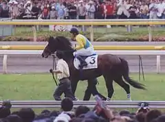 タニノギムレット1999年産