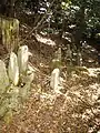 明要寺墓地跡