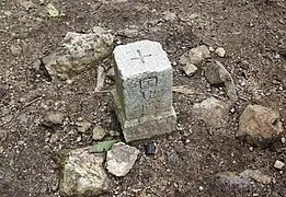 山頂の三角点