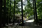 アプローチのメタセコイアの林（2016年7月撮影）
