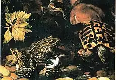 『爬虫類』カポディモンテ美術館所蔵
