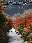 田代川（川見町、2016年（平成28年）11月）