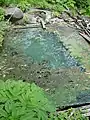倒壊寸前の建物の前にある内湯だった場所。現在も手が付けられていない。