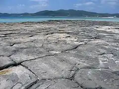 柱状節理:奥武島の畳石(沖縄県久米島町)