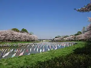 「世界一こいのぼりの里まつり」（鶴生田川：群馬県館林市）
