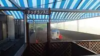 ドッグラン
