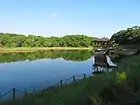 竜巻池（2020年6月）