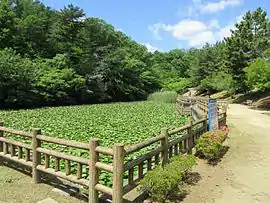 竜美ヶ丘公園