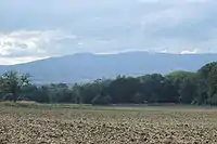 フランクフルト・アム・マインから見たアルトケーニッヒ