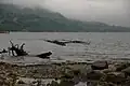 2006年6月撮影。ごく一部を除き完全に水没。