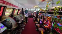 麻雀・転用機