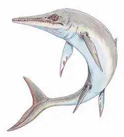 テムテントサウルス