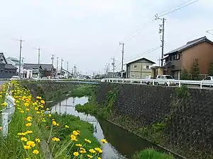 天白川 2006年5月撮影