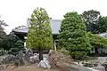 妙隆寺の市の保存樹。コウヤマキ、イトヒバ
