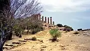 ユーノー神殿