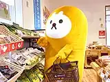 宗像のテンちゃん2