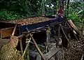種子を並べ下から炎で加熱し乾燥させる。天日干しで作る方法もあるという
