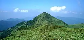 近景