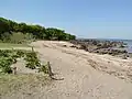 天神島臨海自然教育園