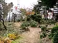 本丸の平坦部　灯台の鉄塔