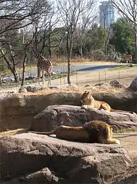 大阪市天王寺動物園（大阪市天王寺区）