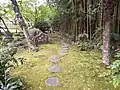 苔の道